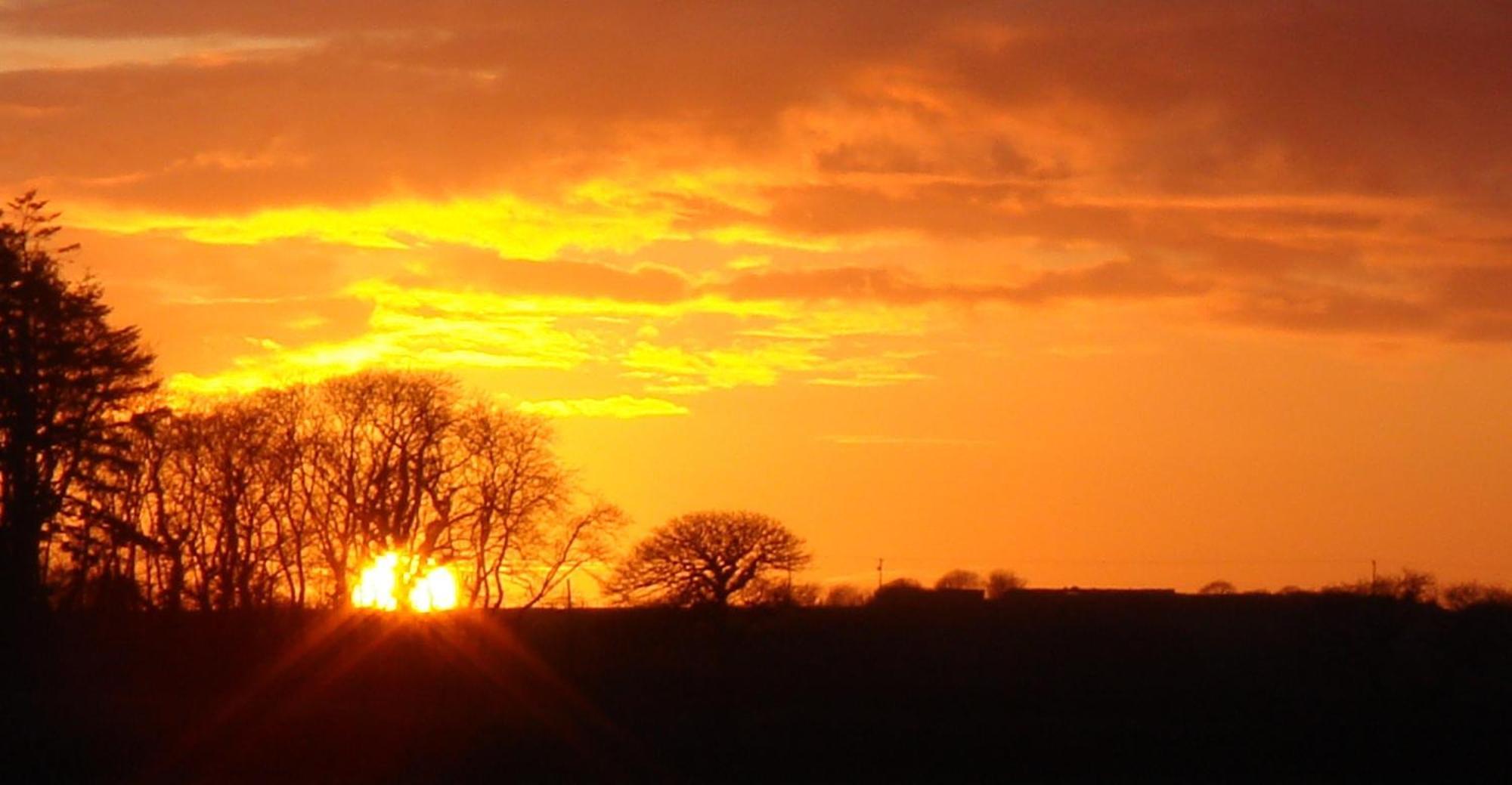 The Paddock Bed and Breakfast Haverfordwest Exteriör bild